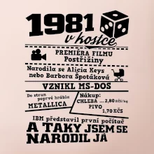 1981 v kostce