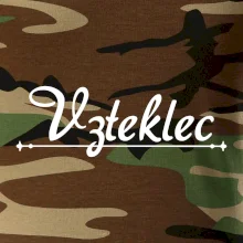 Staročeština - Vzteklec - zuřivec, šílenec, blázen