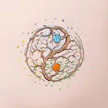 Yin & Yang strom - zima, léto