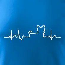 Jorkšírský teriér EKG