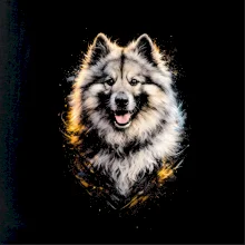 Obrázek polotón vlčí špic