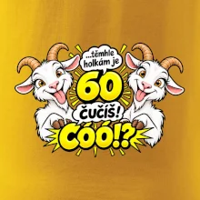 Těmhle holkám je 60, čučíš co?