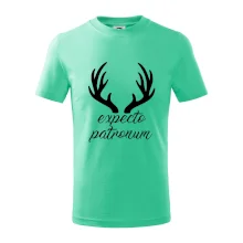 Harry - Expecto patronum