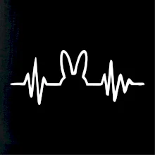 EKG zajíc EKG zajíc