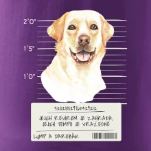 Lump a darebák labrador