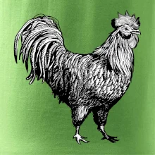 Kohout kreslený černobílý