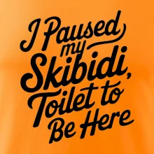 I Paused My Skibidi Toilet to be Here