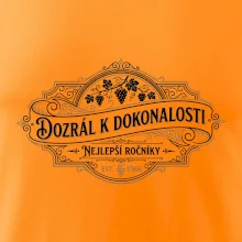 Dozrál k dokonalosti. Nejlepší ročníky