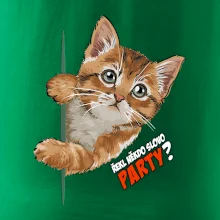 Řekl někdo slovo party