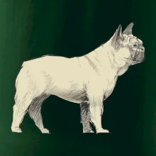 Vintage French bulldog