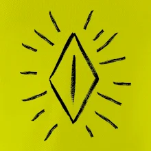 Dámské přirození zarostlé