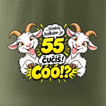 Těmhle holkám je 55, čučíš co?