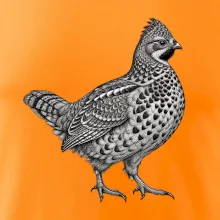 Zvířata Šumavy – Jeřábek lesní