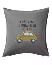 U nás doma je veterán pouze toto auto zelené