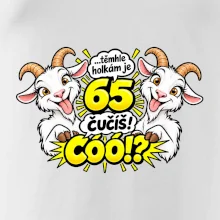 Těmhle holkám je 65, čučíš co?