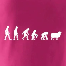 Evoluce ovce