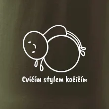 Cvičím stylem kočičím