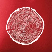 Letokruhy 55 bez věku