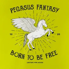 Pegasus fantasy