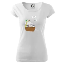 Pravda s Noemovou archou