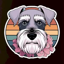 Knírač - fenka a květiny