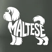 Maltézský psík nápis v těle
