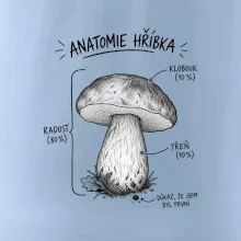 Anatomie hříbka