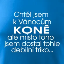 Chtěl jsem dostat k Vánocům koně