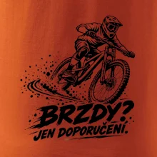 Brzdy jen doporučení - biker v zatáčce