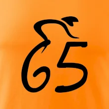 Cyklista slaví pětašedesátku (65)