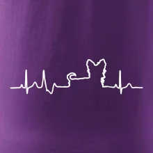 Jorkšírský teriér EKG Jorkšírský teriér EKG