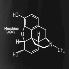 Molekulární struktura Morfin