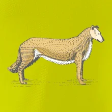 Vintage Collie