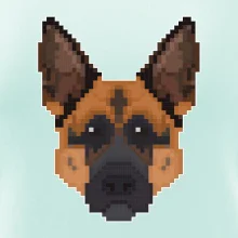 Německý ovčák - Rozkostičkovaný