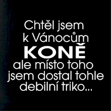 Chtěl jsem dostat k Vánocům koně