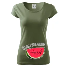 Přinesla jsem meloun