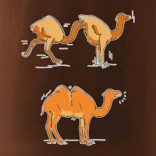 Pravda o velbloudech