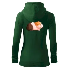 Morče - kreslené z boku