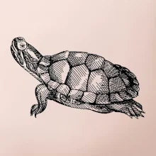 Tužkou kreslená želva