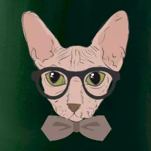 Hipster sphynx