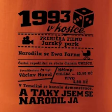 1993 v kostce