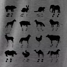 Zvířecí stopy s obrázkem zvířete - stopy zvířat