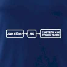 Jsem z října mám vždycky pravdu diagram