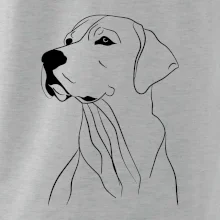 Labrador černá kresba