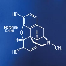Molekulární struktura Morfin
