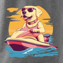 Zlatý retrívr na vodním skútru