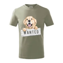Zlatý retriever - štěně wanted