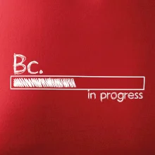 In progress  titul Bc. bakalář / bakalářka