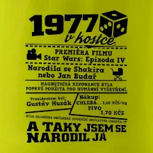 1977 v kostce