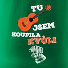 Tu kytaru jsem koupila kvůli tobě